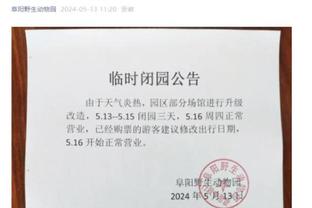 开云app手机版官网